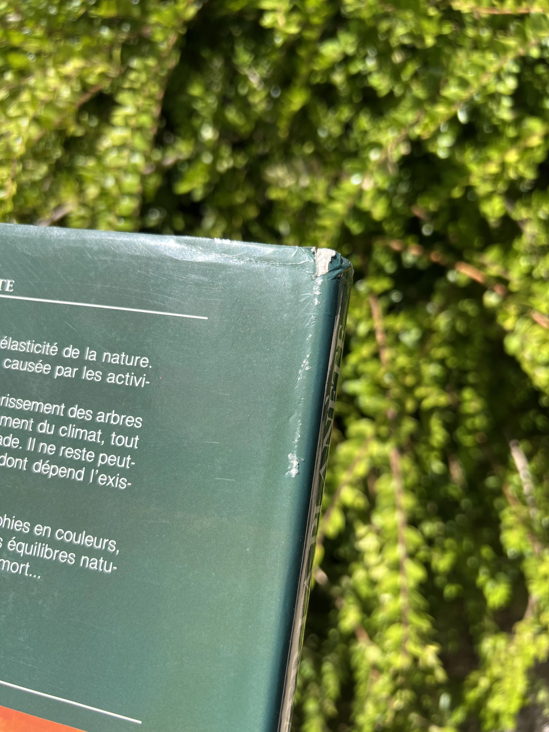 🌍 5000 dagen om de planeet te redden – Geïllustreerd ecologieboek Edward Goldsmith – photo 9
